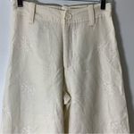 ZARA NWOT EMBROIDERED PANTS ZW COLLECTION SZ S viscose and linen blend Photo 8