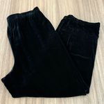 Eileen Fisher  Green Velvet Pull On Crop Pants Women’s Size Medium Photo 0