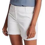 Market & Spruce  Women's Classic White Shorts Photo 0