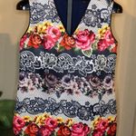 Cynthia Steffe  floral dress sz 12 Photo 1