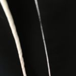 Jessica Howard FINAL MARKDOWN Ladies  jacket 12 Photo 1