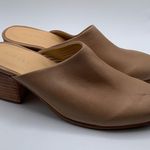 New Nisolo Women's All Photo 7