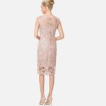 Tadashi Shoji  Floral Lace Illusion Sequin Knee Length Dress, Blush/Pink, Size 6 Photo 1
