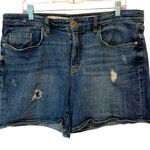 Pilcro and the Letterpress Slim Boyfriend Jeans Lightly Distressed Women Size 32 Photo 0