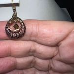 Petite Boho Metal and zebras Dangle Earrings Pink Photo 2