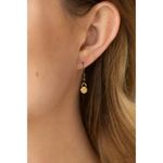 Paparazzi Save The Money Trees Brass Necklace (465) Photo 2