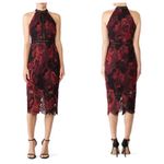 Alexia Admor  lace midi sheath halter neck dress Photo 1