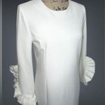 Katherine Barclay NWT Hilary Radley for Woven Ruffle Sleeve Lined Dress $168 Photo 2