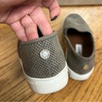 Steve Madden | Zavayy Light Grey Slip On Sneakers Size 6.5 Photo 3