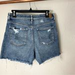 American Eagle America Eagle Denim Mom Short Photo 1