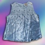 Size Medium Vintage Amanda Stewart Intimates Blue Embroidered Camisole Photo 0