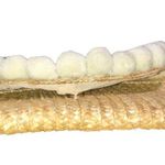 Shiraleah Fortuna Wheat/Cream Straw Raffia Envelope Pom Pom Clutch Bag Photo 4