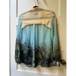 Womens Dreamy Fairy Sheer Art To Wear Blouse 8 Ethereal Blouse Romantic Office Green Photo 1