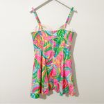 Lilly Pulitzer  Willow Dress So A Peeling Fit and Flare Size Womens 14 Photo 6