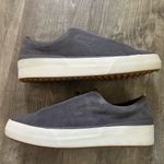 Keds  Remi Suede Sneaker (Women) 8.5 Photo 7