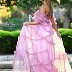 Coya Collection Dillards Pink Floral Chiffon Gown Photo 2
