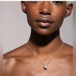 Alexis Bittar NWOT  Gold Necklace with Silver Detailing Photo 2