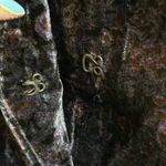 Lucky Brand  Navy Multi Floral velvet blazer Photo 7