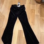 Sofia by Sofia Vergara Black velvet sparkle Flare Pants 10 short Photo 2