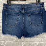 a.n.a  Mid Rise Denim Shorts with Distressed Hem Photo 1