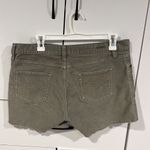 Carve Designs Carve‎ designs shorts . Size 10 Photo 2