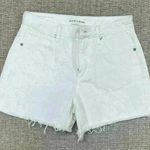 Articles of Society NWT  High Rise Shorts Photo 0