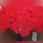 Donna Ricco NWT  Red Cutout Lace Short Sleeve Knee Length Modcloth Shift Dress 4 Photo 3