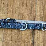 Jessica Simpson Cute  Faux Leather Belt Photo 3