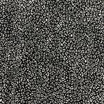 Nom Maternity Marianna Dolman Photo 7