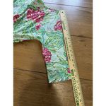 Lilly Pulitzer Cassie Mint Spike the Punch 3/4 Sleeve Sheath Mini Dress XS READ Photo 5