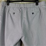 Talbots Woman Size 18W W Heritage Blue/White Striped Cropped Pants Back Pockets Photo 4