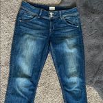 Hudson Jeans Dark Blue Skinny Jeans Photo 0