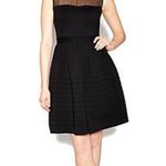 Betsey Johnson Sleeveless Schoolgirl Black Dress Photo 0