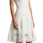 Dress the Population Ivory Dress Photo 1