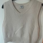 Aritzia  Sunday Best Sparrow V-Neck Sweater Vest Photo 0