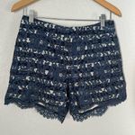 Cartonnier Blue Lace Shorts Side Zip Pockets Preppy Boho Spring Vacation Photo 0