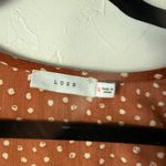 Lush Clothing Lush Sm Rust Brown Polka Dot Long Sleeve Midi Dress with Belt‎ Preppy Old Money Photo 9