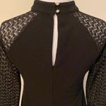 Cynthia Steffe Michaela Jersey Lace Sleeve Dress Photo 4