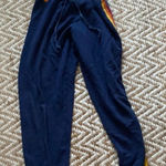 Aviator Nation  Sweatpants Photo 0