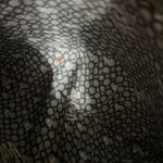 Brighton Vera Neumann Red Poppy Tote Photo 8