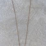 Francesca's Necklace Photo 0