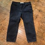 Soft Surroundings black stretchy 16P straight leg jeans Photo 0