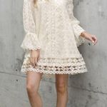 Anthropologie NWT Champagne & Strawberry off-the-shoulder lace dress Photo 0