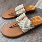 Italian Shoemakers  Thong Sandal Photo 5