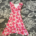 TCEC  dress. NWT. Size small. Floral. Dressy or casual. Lined. Boutique bought Photo 0