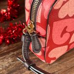 MINI CAMERA BAG WITH COACH HEART PRINT NEW WITHOUT TAGS Photo 4
