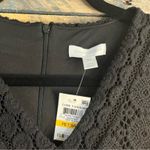 Charter Club  Black Crochet Dress Size Medium‎ Petite Photo 9