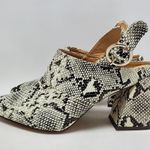 Chase and Chloe  Fame 1 Snakeskin Slingback Chunky Heels Pointed Toe Mules Sz 8.5 Photo 1
