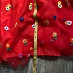 Embroidered Floral Mesh Tulle Drop Waist Red Maxi Skirt Pleated Small Boho Photo 5