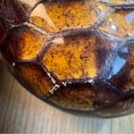 Vaneli Women’s Slip On Leather Flats Snake Skin Print Brown Bow‎ Gold size 7 Photo 6